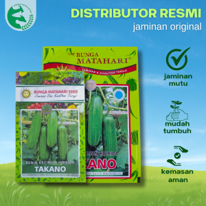 Benih Unggul Timun Hibrida TAKANO 20 gram Cap Bunga Matahari Lebat Tahan penyakit Unggul Tidak Pahit