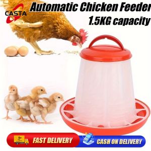 Automatic Chicken Feeder Bucket for Feeds 1.5L Feeds Poultry Supply for Pet Dove Chicks Duck Food Dispenser