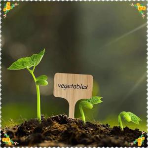🔥【Special price】🔥🔥[ FLASH SALE ] Wooden Plant Label Plant Label T-Shaped Garden Marker Plant Vegetable Seedling Name Plate Outdoor Waterproof Handwritten Label