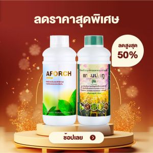 ปุ๋ยน้ำ บำรุงพืช เอฟอช Aforch สารนำพา สารจับใบ ปุ๋ยน้ำช่วยเร่งการเติบโต ใบเขียว แตกยอด ต้นแข็งแรง ชุดใหญ่ เอฟอช + แกรมม่าทู ขนาด 1000 ซีซี