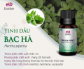 Tinh dầu thiên nhiên Bạc Hà Nhật Bản – Essenbee – 20ml. 