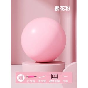 🔥 Limited Offer🔥Multifunctional Fitness Yoga Ball / Pilates - Balance Training Tool / Postpartum Recovery Aid Ball / 专业健身通用球