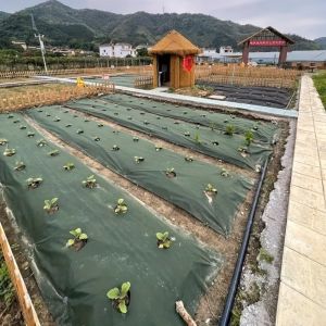 YERZ Biodegradable Perforated Grass Proof Cloth Pre-punched Holes Double Layer Weed Control Ground Cover Heavy Duty Non-woven Weed Barrier Fabric Vegetable Gardens