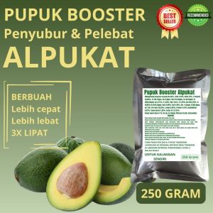Pupuk Booster Alpukat / Obat Booster Buah Alpukat / Pupuk Booster Buah Alpukat / Pupuk Buah Alpukat