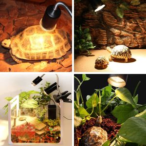 Reptile Heat Lamps & Turtle Lamps: Essential Lighting for Your Aquarium