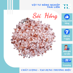 Bịch Sỏi Hồng 1 Kg size 4 - 6 mm trang trí hồ cá cảnh rải mặt sen đá chậu cây để bàN