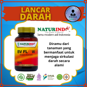 Obat Peredaran Darah Kotor Tertsumbat Tidak Lancar Kesemutan Ampuh Kapsul Herbal BV Flow Naturindo