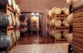 Castellani Michele “I Castei” Amarone 2016. 