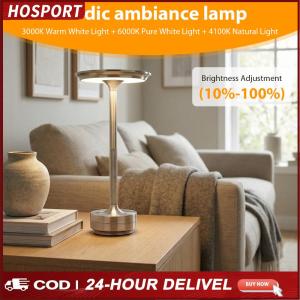 Desktop Night Light Dimmable Portable LED Desk Lamp with 3 Color Modes for Indoor Outdoor Restaurant Living Room Bedroom