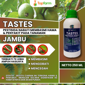 Obat Pembasmi Ulat Daun Jambu / Obat Jambu Merah / Obat Penyubur Buah Jambu / Obat Anti Ulat Pohon Jambu / Obat Pelebat Buah Jambu