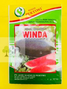 Benih semangka inul hibrida WINDA dari PERTIWI. Isi 20gram josss tenan!!