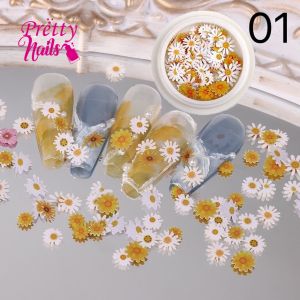 ตลับอะไหล่ดอกไม้ติดเล็บ พร้อมส่งในไทย