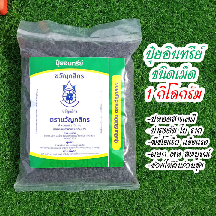 10 อันดับปุ๋ยอินทรีย์ยอดนิยม ใช้ดี ดอกผลสมบูรณ์ อัปเดตปี 2025