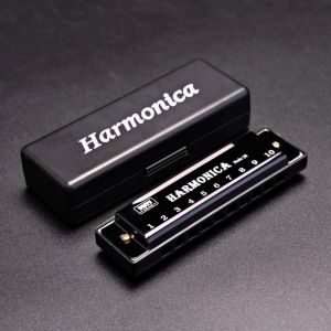 PURETEN Key of C 10 Hole Harmonica with Box Metal Diatonic Harmonica Portable Rectangle Mouth Organ Children