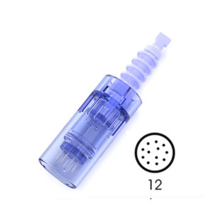 Wireless Dermapen X6 With 10Pcs 12/36/42Pins Nano Cartridges for Face Beauty Care