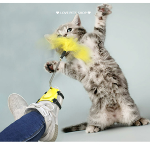 Đồ chơi cho Mèo đuổi bắt lông vũ gắn dây quàng tiện lợi- Love Pets Shop