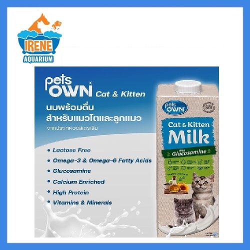 Feline Drink Lactose Free Milk Do Cats Need To Drink Milk Let Your