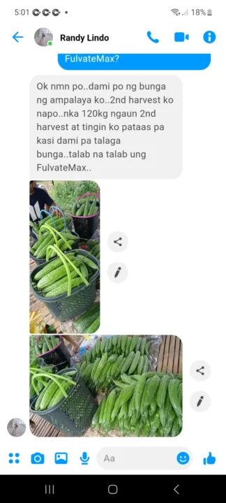 FulvateMax%20Organic%20Foliar%201%20liter%20per%201%20hectare%20Palay/Mais/Talong/Kamatis/Sili/Amplaya%20at%20iba%20pa%20-%20Image%204