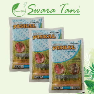 Paskal Fungisida 50 WP 100 gram Original