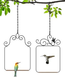 PACETAP Hummingbird Swings and Perches Metal Frame 2 Pack Wild Bird Swing Outdoor Bird Perch with Wooden Dowel and 2 Hanging Chain for Hanging Indoor Outdoor Trunk Lawn Patio Garden (Black)