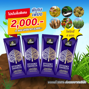 4Tree โฟร์ทรี ของแท้ 1 ซอง สารเพิ่มประสิทธิภาพการเจริญเติบโตพืช ใช้ได้กับพืชทุกชนิด ปุ๋ยทางใบ ลดต้นทุนเพิ่มผลผลิต พร้อมส่ง
