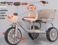 Baby Twin Bike 2 Seater Indoor And Outdoor Tricycle Twin Bike For Kids. 