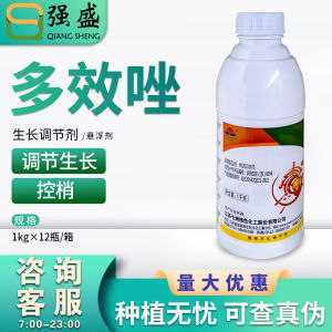 Seven Continents Ten Duo Xi 25% Paclobutrazol Wheat Regulating Growth Increasing Mango Shoot Controlling Plant Growth Regulator