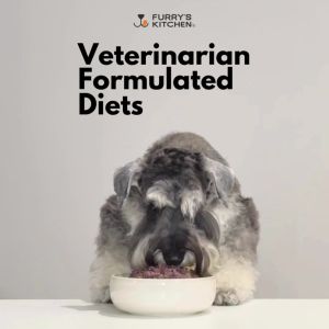 Beef & Sweet Potato Fresh Dog Food