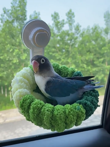 Ấm Sang Trọng Chim Giường Cho Birdcage Chăn Nuôi Tổ động vật nhỏ Nghỉ ngơi Giường Cho Budgies núm hút cao su Chim Chăn Nuôi Giường