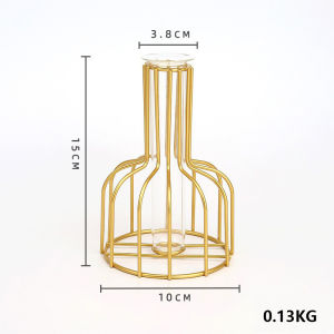 Nordic Vase Wrought Iron Golden Hydroponic Vase Living Room Table bottle Decoration Dried Flower Glass Vase