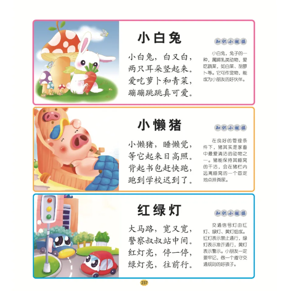 Kid Learning Mandarin Chinese Book 2500 word Nice Picture Literacy learn  Chinese Word