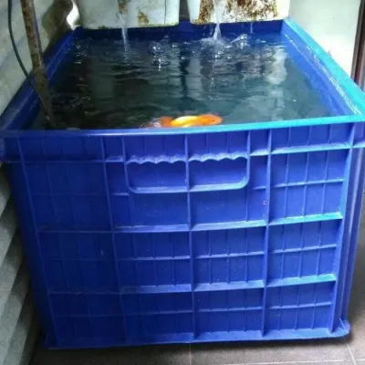 HANATA 3101 BOX CONTAINER 200 LITER / KERANJANG INDUSTRI / KOLAM IKAN -czel shop