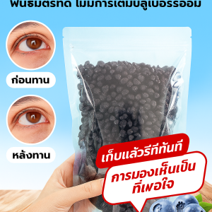บลูเบอร์รี่แห้งธรรมชาติ สดใหม่เป็น
