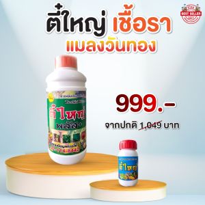 ตี๋ใหญ่พลัส 1000cc +สารกำจัดแมลงวันทอง 250cc
