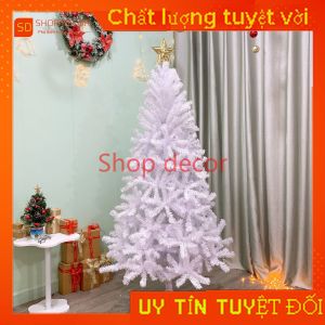 Cây thông noel 2M lá màu trắng hàng việt nam tán dày rộng nhiều nhánh trang trí giáng sinh noel
