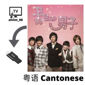 USB Cantonese Korean Drama 2 in 1 花样男子 + 蓝海传说 粤语中字 Chinese subtitle 李敏镐