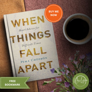When Things Fall Apart: Heart Advice for Difficult Times (PB)