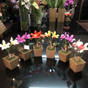 กระถางกล้วยไม้ปลอมขนาดเล็ก กระถางดอกไม้ปลอมตกแต่งโต๊ะ