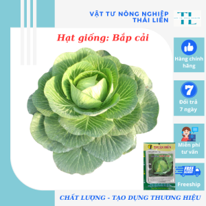 Hạt giống bắp cải lai f1 chịu nhiệt hàng công ty Thuận Điền