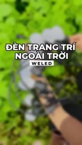 Dây đèn trang trí ngoài trời 5m 10m 20m chống nước dùng cho quán cà phê trà chanh trà sữa decor