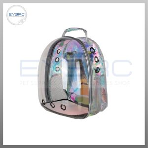 Luminous Transparent Backpack