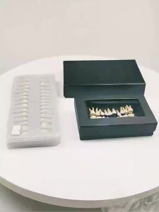 KITA-Pediatric Teeth  Teeth Full Mouth Tooth Model Dental Oral Monochrome Permanent Tooth Model with Root Simulated Tooth Model