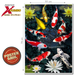 Poster XJumbo FAUNA : IKAN KOI #XJFJP089 - ukuran poster 51 x 75 cm