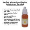 Visoliver Minyak Ikan Untuk Ayam Bangkok Aduan Jago Ekor Lidi Mengandung Omega3 Dan Vitamin. 