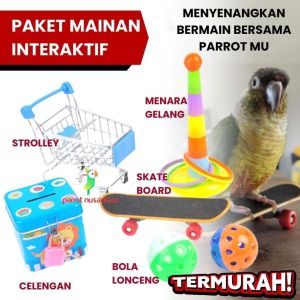 Mainan trik latihan Latih burung parrot celengan bola skate board atraksi