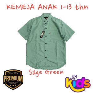 kemeja polos anak usia 1-13 tahun lengan pendek terbaru 2024