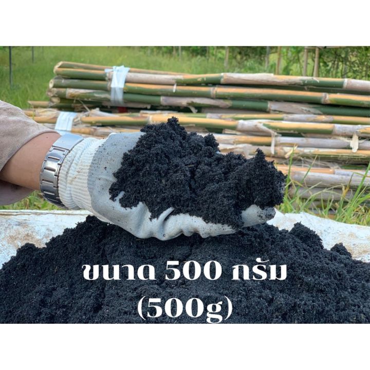 แกลบดำ ไบโอซาร์ Black Cilion Charcoal เพิ่มคาร์บอนในดิน