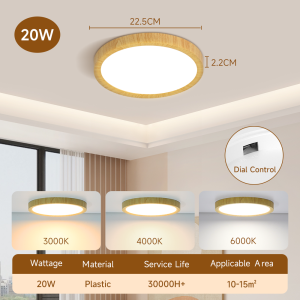 3 colors DIP switch Modern ceiling lamp minimalist design round three-color ultra-thin ceiling lamp LED light eye protection living room bedroom dining room energy-saving lamp