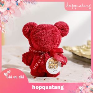 Tùi Quà Tặng Kèm Gấu Bông Hộp Quà Giấy Rơm Đèn Led Kim Tuyến Đỏ Trắng