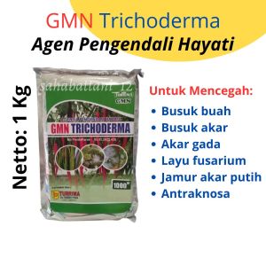 Fungisida hayati trichoderma untuk cegah jamur akar putih